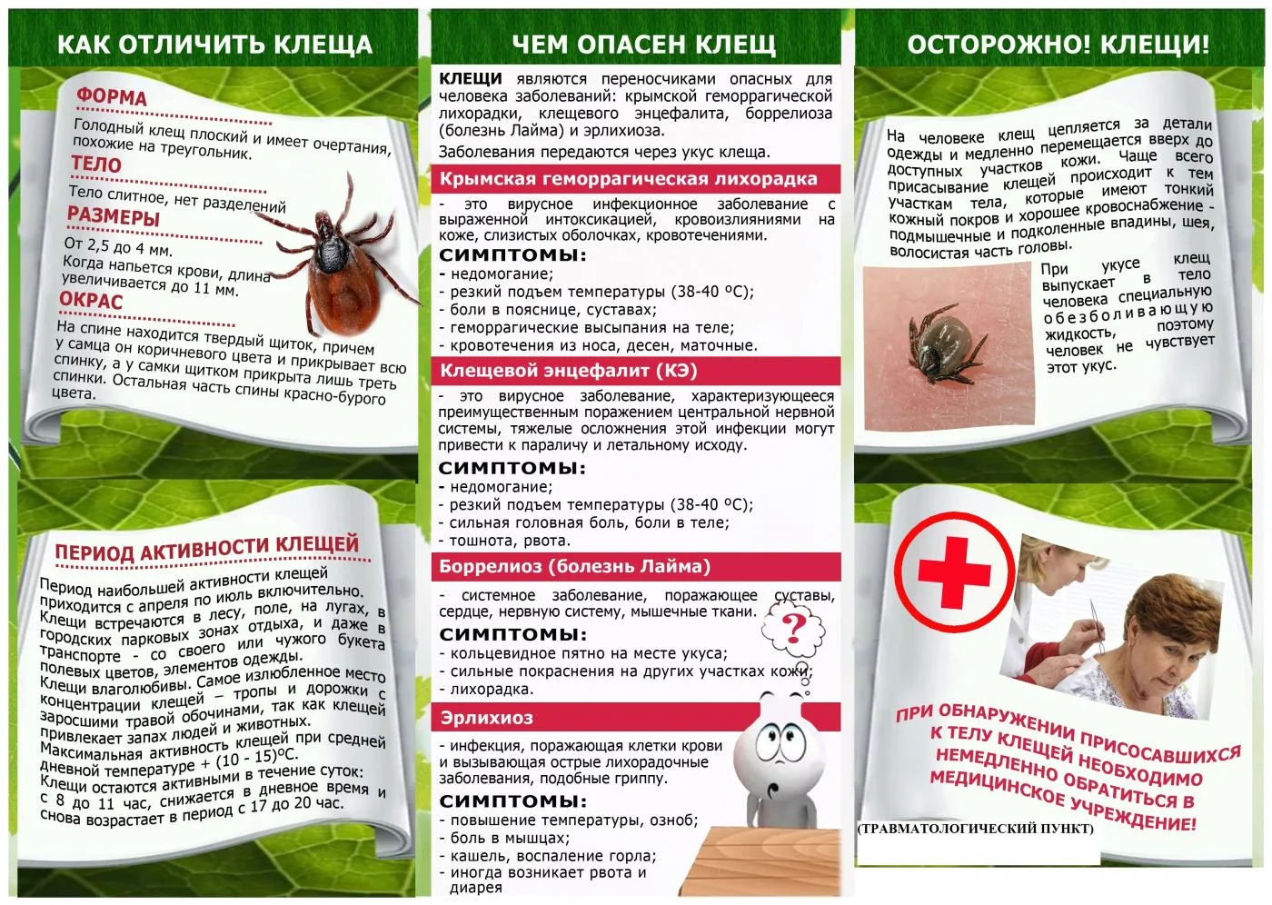 Профилактические меры против клещевого энцефалита