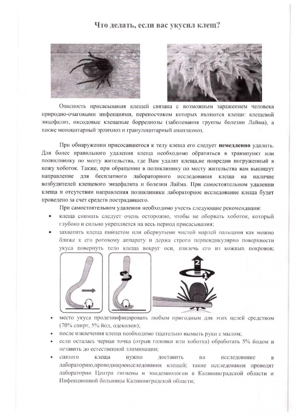 Профилактика клещевых инфекций в эпидемический сезон 2022 года