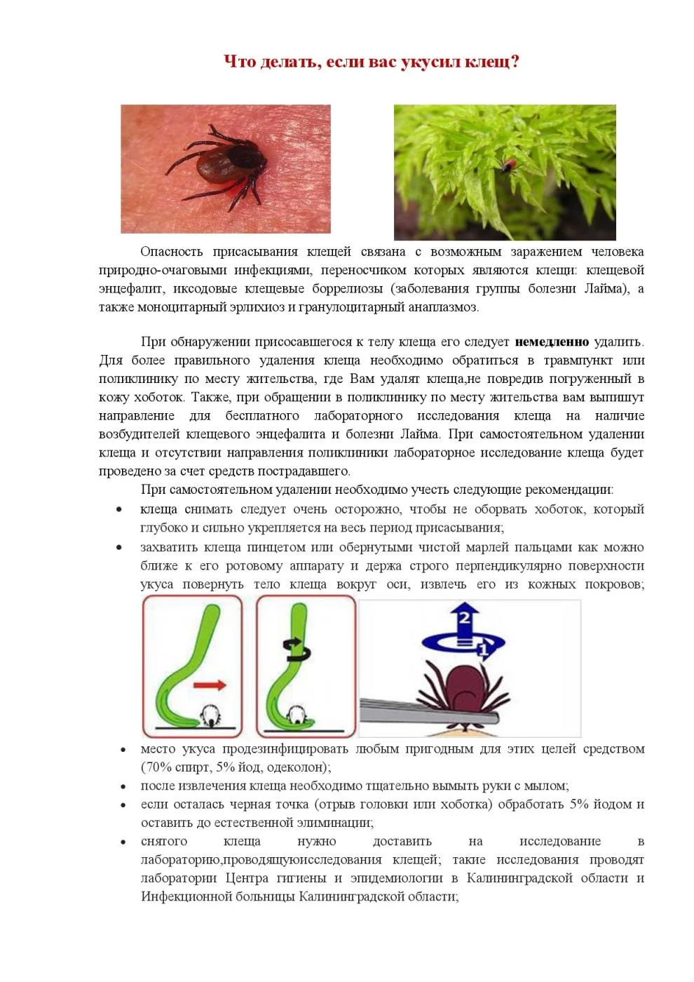 Что делать, если Вас укусил клещ?