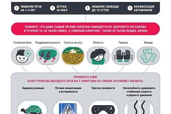 Дорожная безопасность