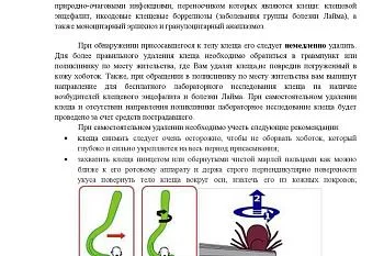 Что делать, если Вас укусил клещ?