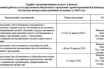 График запланированных встреч, в рамках  профориентационной работы