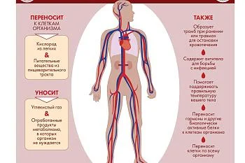 Заболевание системы крови