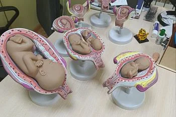 Правильное отношение к беременности