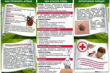 Профилактические меры против клещевого энцефалита